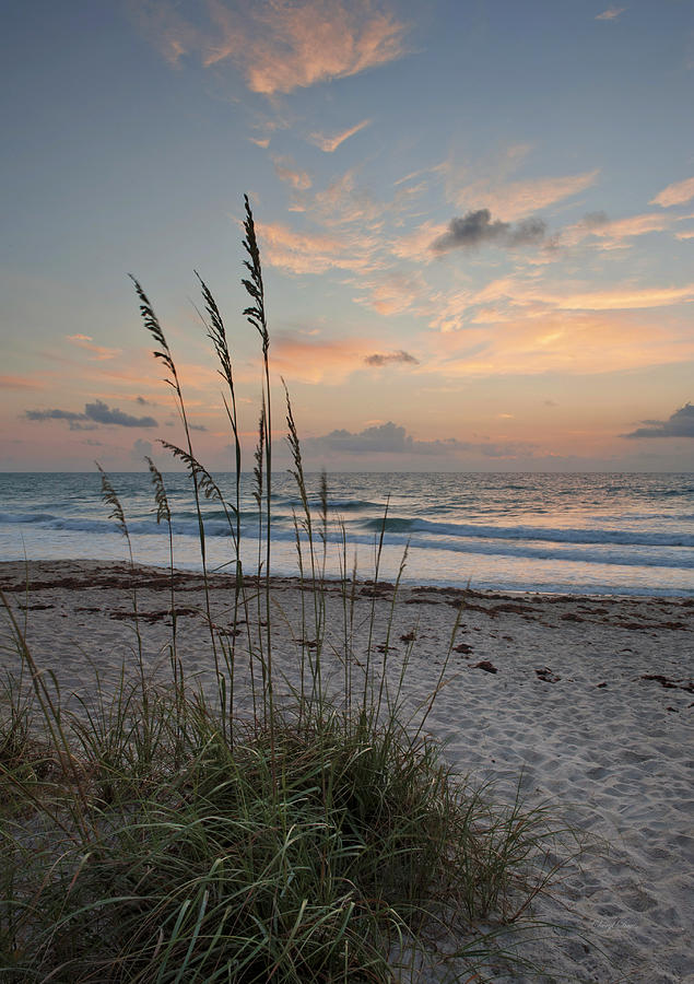Nature Photograph - Melbourne Beach Sunrise by Cheryl Davis