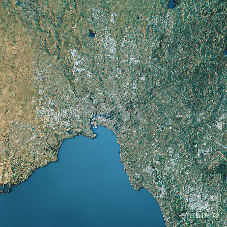 Melbourne Topographic Map Natural Color Top View Digital Art by Frank