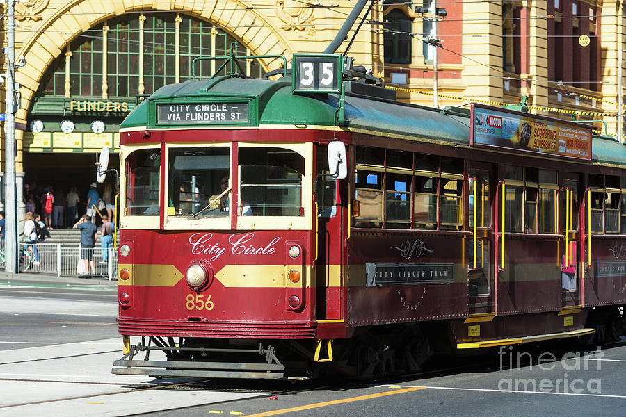 Melbourne Tram Photograph by Andrew Michael