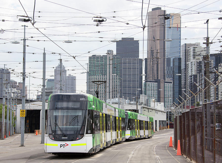 Melbourne Tramways Photograph by Ramunas Bruzas