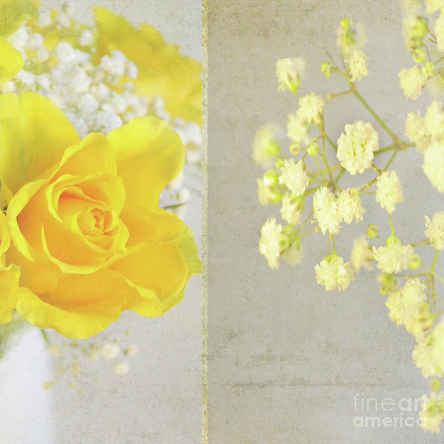 Mellow Yellow Photograph by Lyn Randle