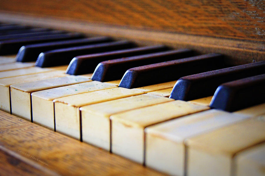 Piano Photograph - Melodies and Memories by Cricket Hackmann