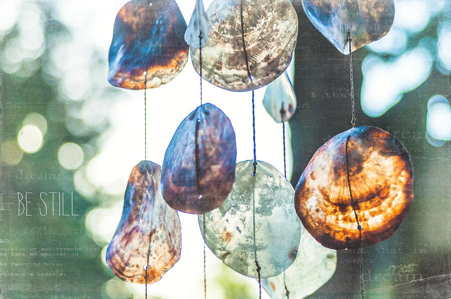 Capiz Shells Photograph - Melody from the Sea by Joy Gerow Capiz Shells Photograph - Melody from the Sea by Joy Gerow