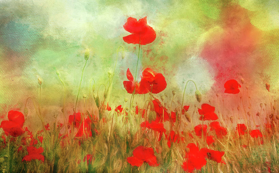 Melody of Summer by Annie Snel Melody of Summer by Annie Snel