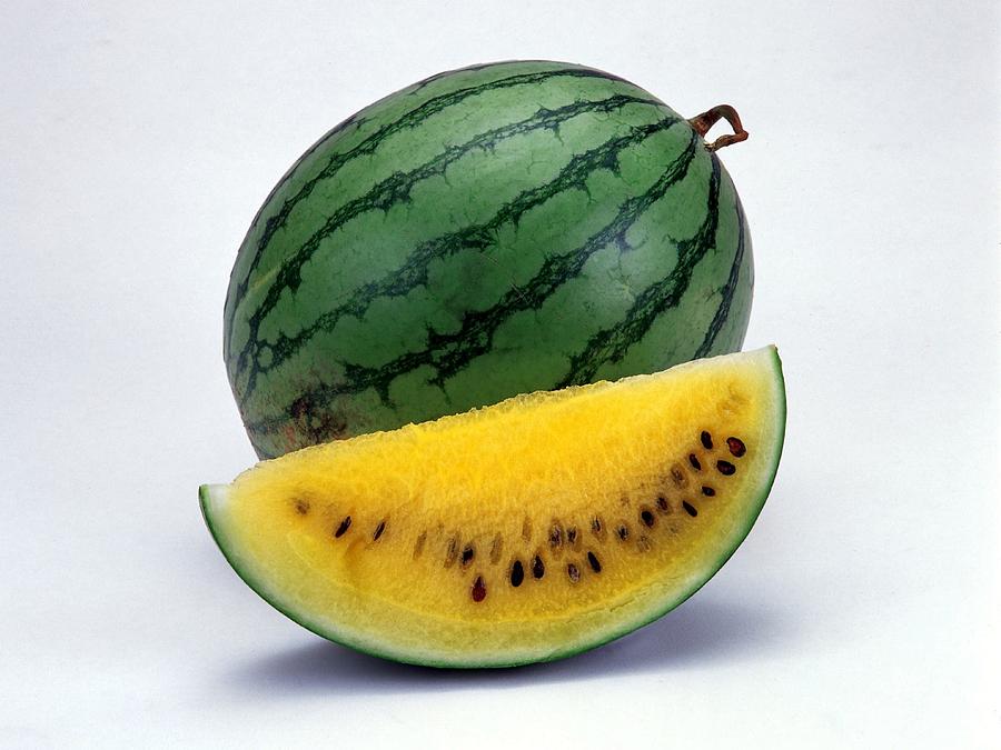 Fruit Photograph - Melon by Jackie Russo