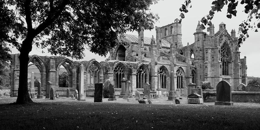 Melrose Abbey  Photograph by Martina Fagan