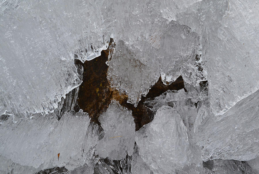 Melting Ice Photograph by Lyle Crump