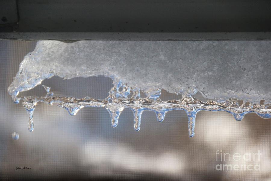 Melting Icicle  Photograph by Yumi Johnson