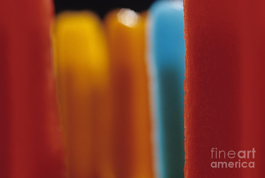 Melting Popsicles Photograph by Jim Corwin
