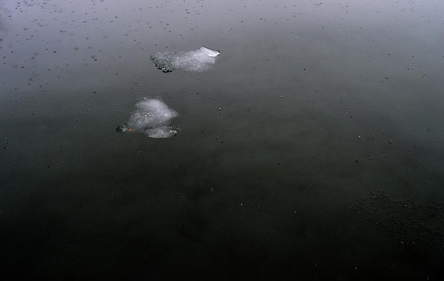 Melting Winter Ice In The Rain Digital Art by Lyle Crump
