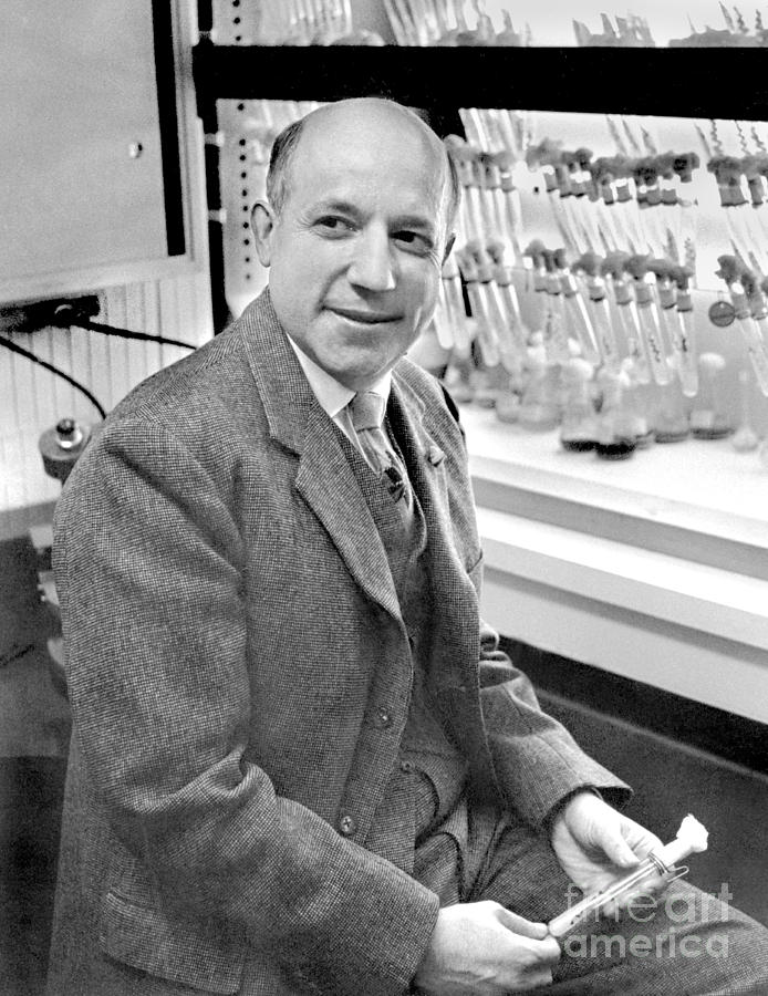 Melvin Calvin, American Chemist Photograph by Science Source