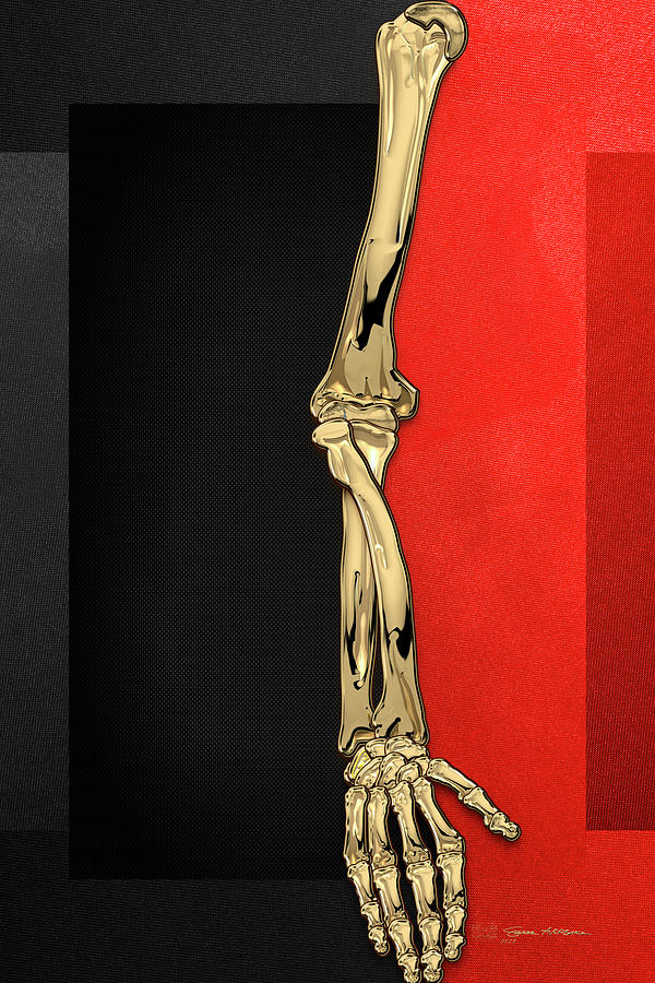 Memento Mori - Gold Human Arm Bones over Black and Red Canvas Digital Art by Serge Averbukh