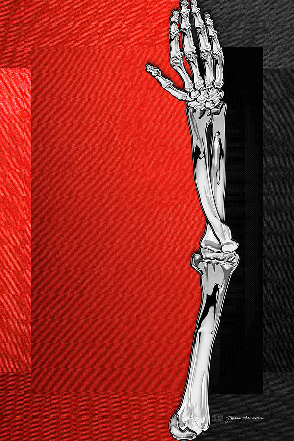 Memento Mori - Silver Human Arm Bones over Red and Black Canvas Digital Art by Serge Averbukh
