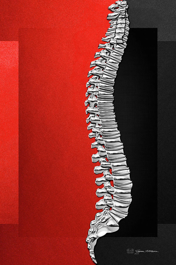 Memento Mori - Silver Human Backbone over Red and Black Canvas Digital Art by Serge Averbukh
