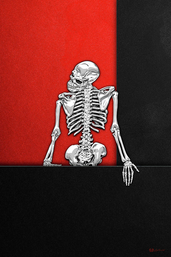 Memento Mori - Silver Human Skeleton on Black and Red Canvas Digital Art by Serge Averbukh