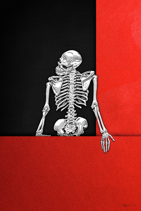 Memento Mori - Silver Human Skeleton on Red and Black Canvas Digital Art by Serge Averbukh