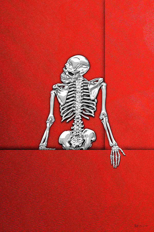 Memento Mori - Silver Human Skeleton on Red Canvas Digital Art by Serge Averbukh