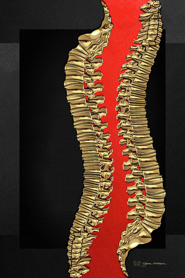 Memento Mori - Two Sets of Gold Human Backbones over Black and Red Digital Art by Serge Averbukh