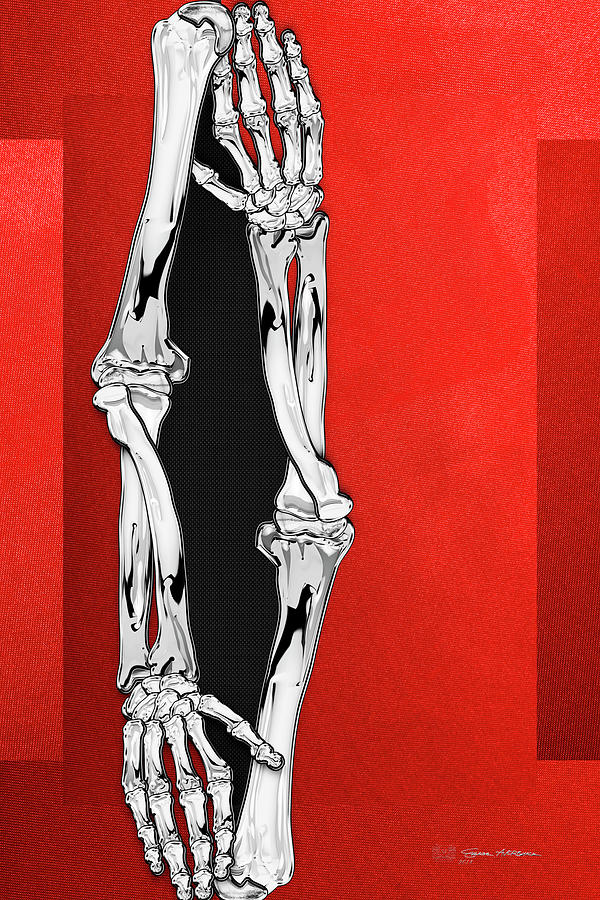 Memento Mori - Two Sets of Silver Human Arm Bones over Red and Black Canvas Digital Art by Serge Averbukh