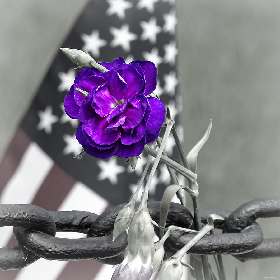 Flag Photograph - Memorial by Dark Whimsy