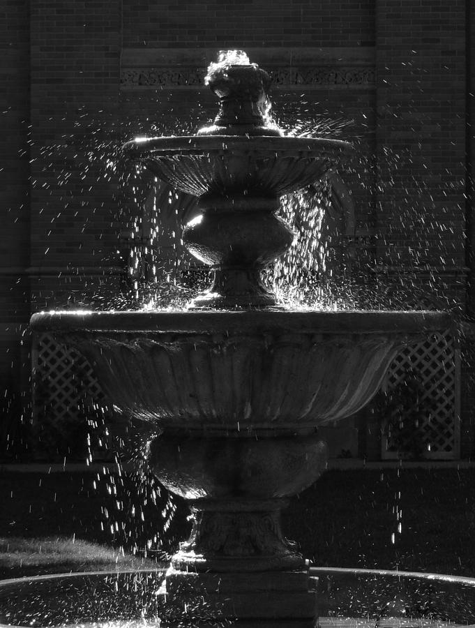 Black And White Photograph - Memorial Fountain B W by David T Wilkinson