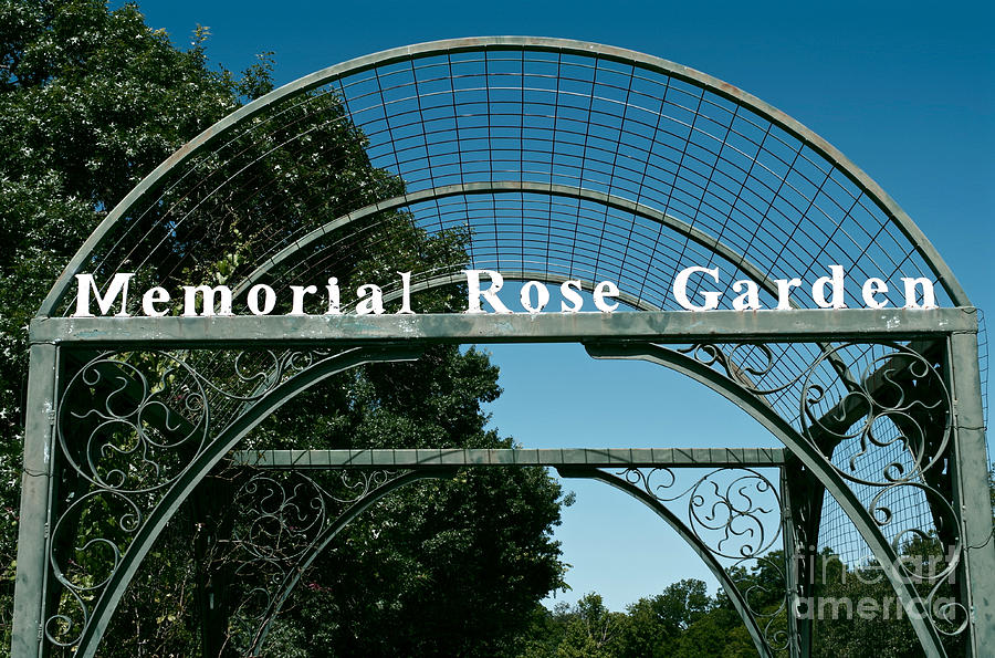 Garden Photograph - Memorial Rose Garden by Gary Richards