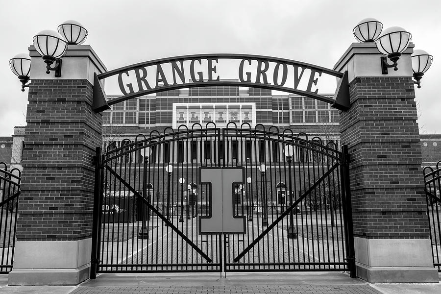 University Of Illinois Photograph - Memorial Stadium Grange Grove by John McGraw