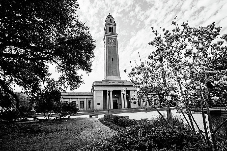 Memorial Tower in the Spring - LSU BW Photograph by Scott Pellegrin