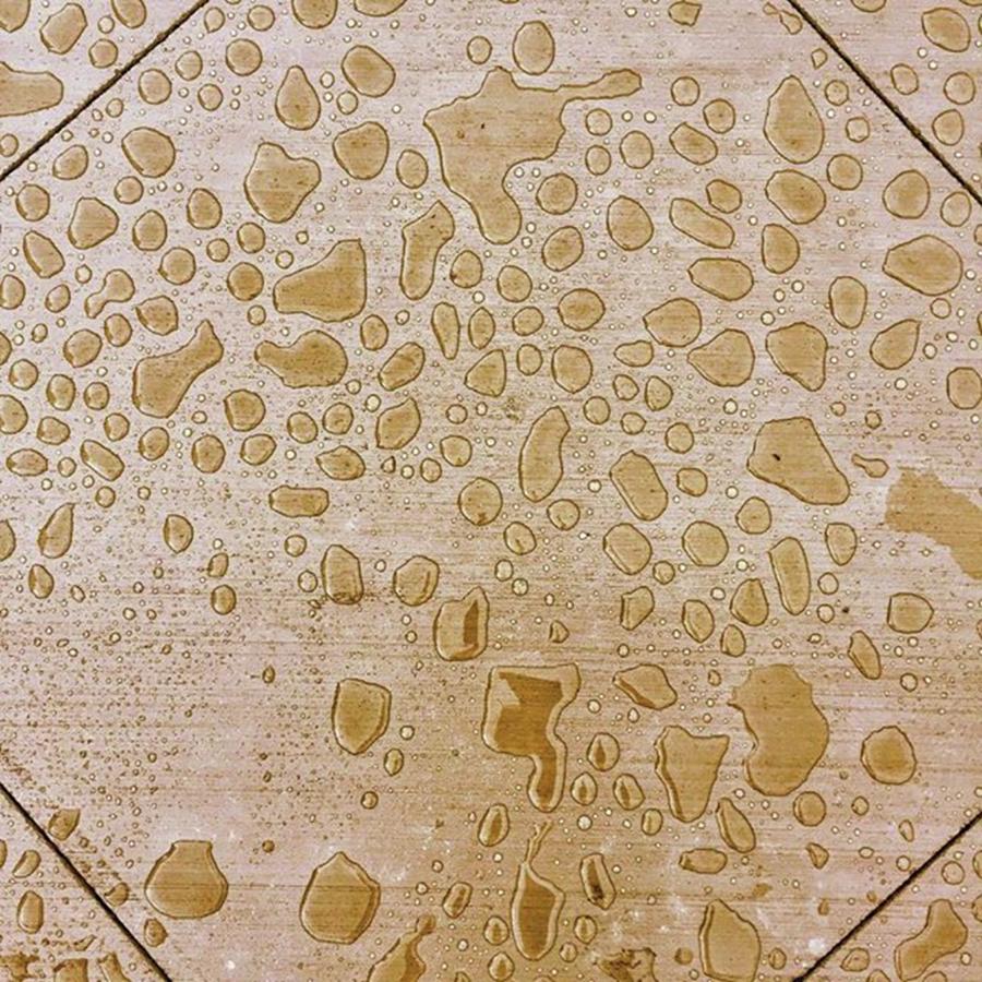 Pattern Photograph - Memories. #aftertherain #pattern by Ginger Oppenheimer
