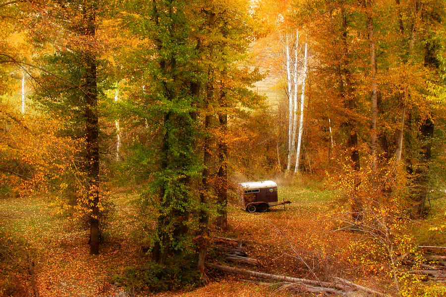 Fall Photograph - Memories of seasons past  by John Poon