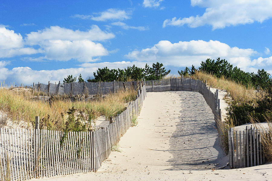Memories on the Path Through the Sand Dunes at Cape Henlopen State Park ...