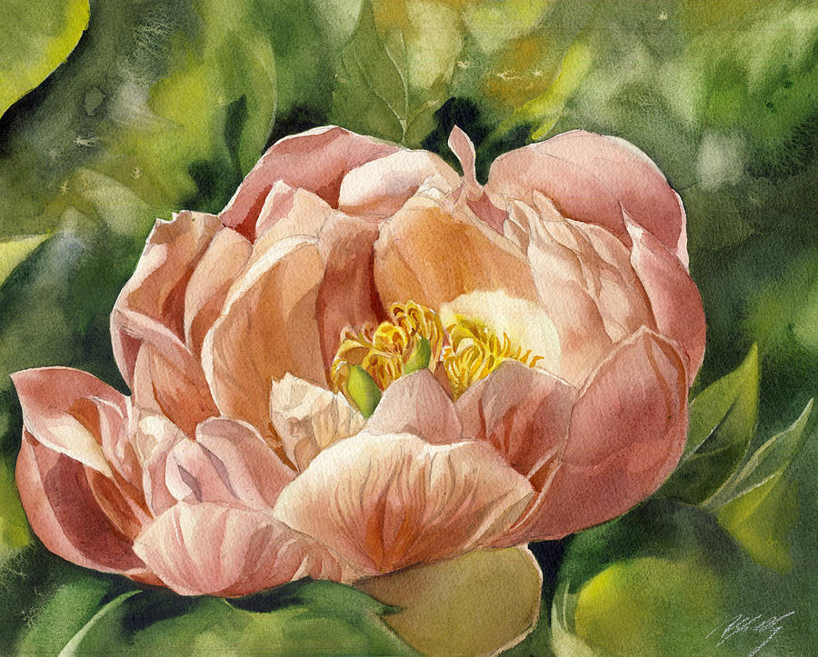 Memory of Spring - coral peony Painting by Alfred Ng