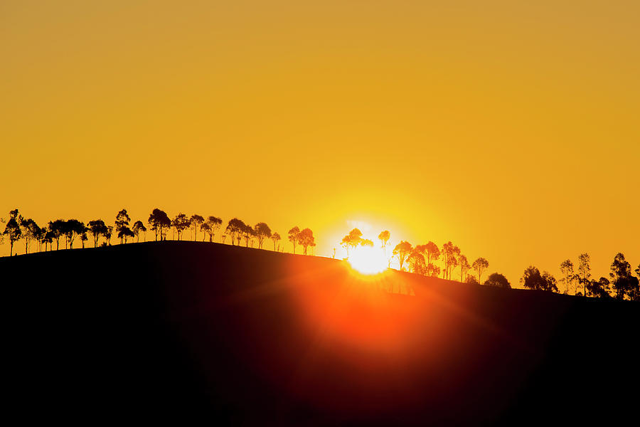 Menangle Sunset Photograph by Bj S