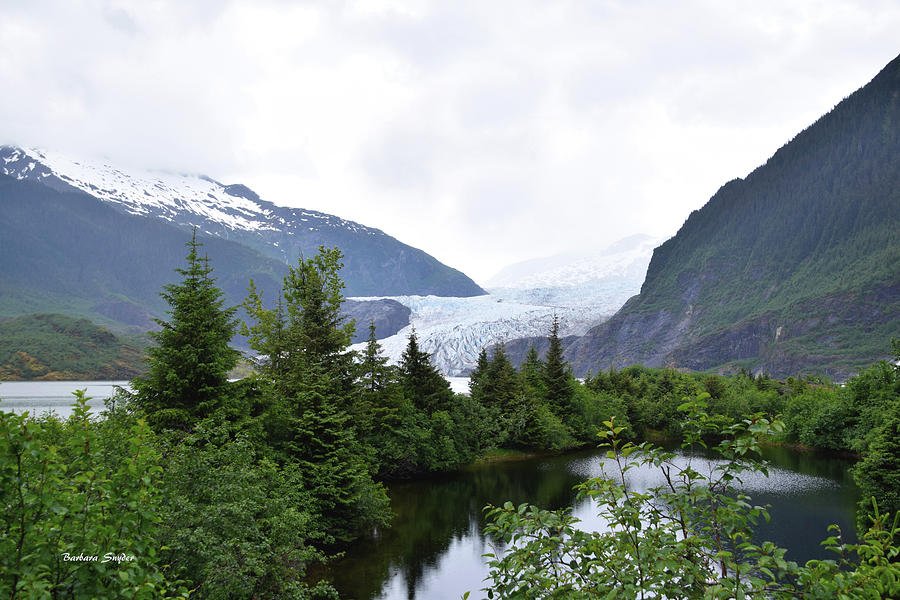 Mendenhall Glacier Juneau Alaska Painting by Barbara Snyder