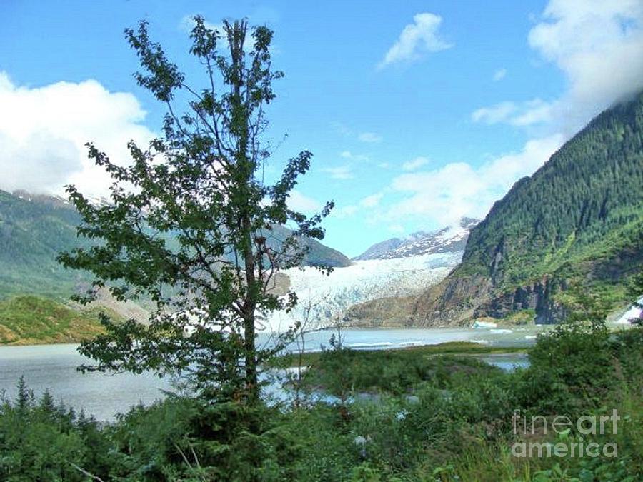 Mendenhall Glacier View from Path Photograph by Janette Boyd