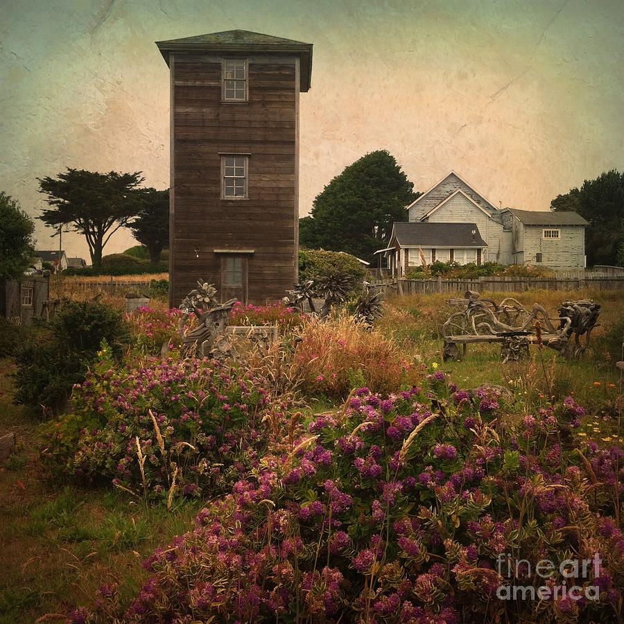 Mendocino by Charlene Mitchell Mendocino by Charlene Mitchell