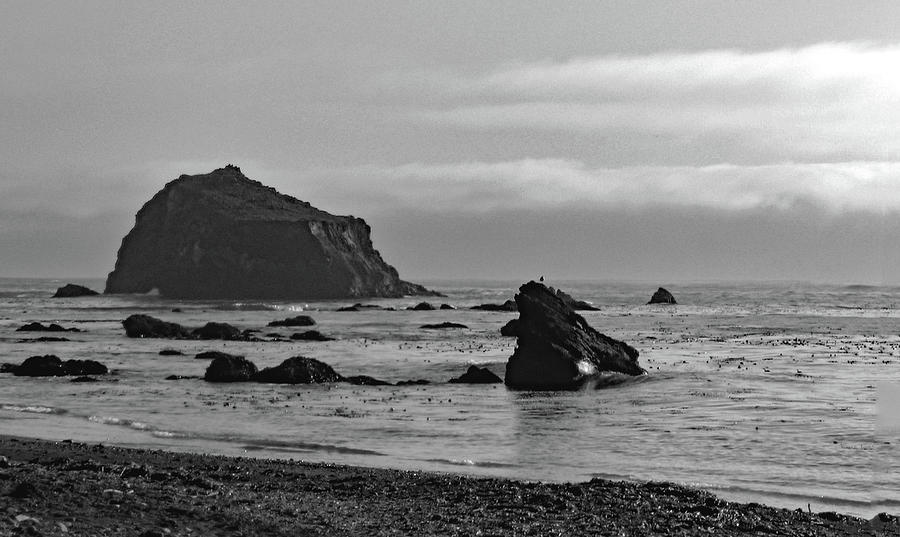 Mendocino Coast No. 1-1 Photograph by Sandy Taylor