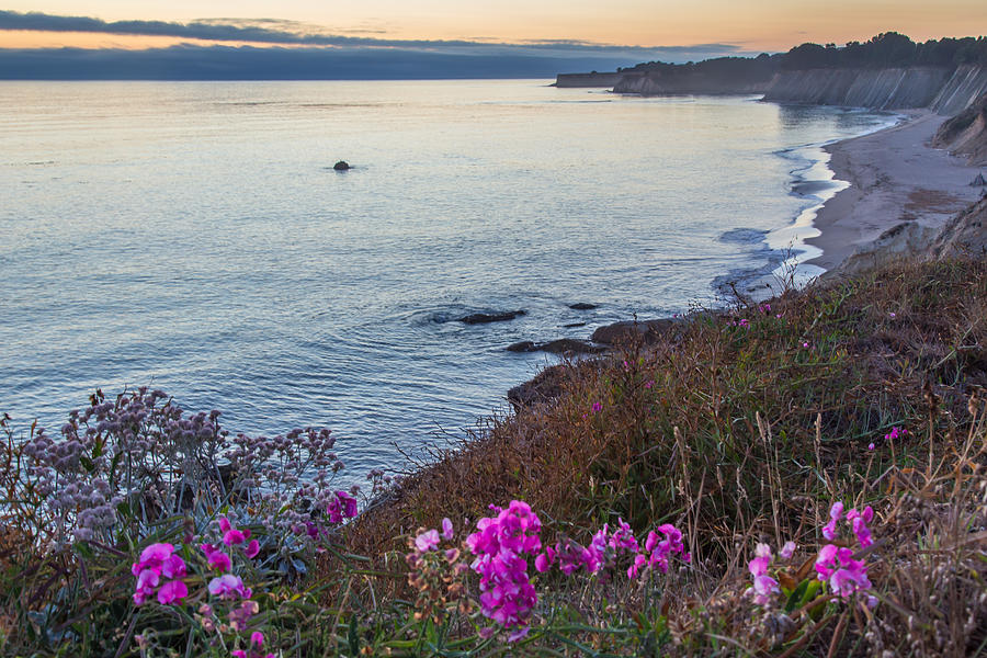 Mendocino Coast at Sunset Photograph by Marc Crumpler
