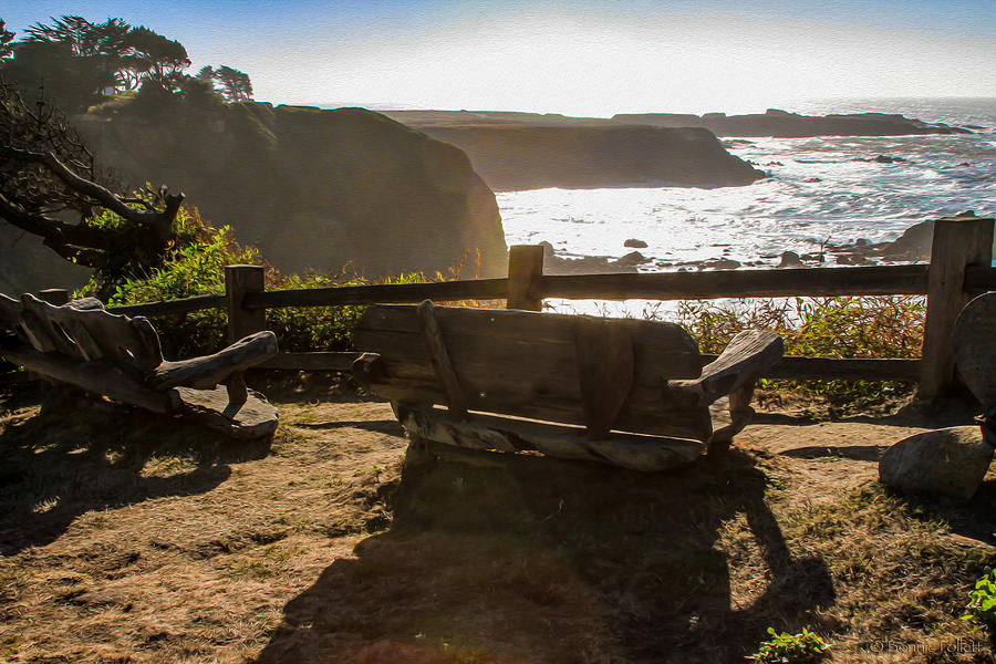 Mendocino evening Photograph by Bonnie Follett