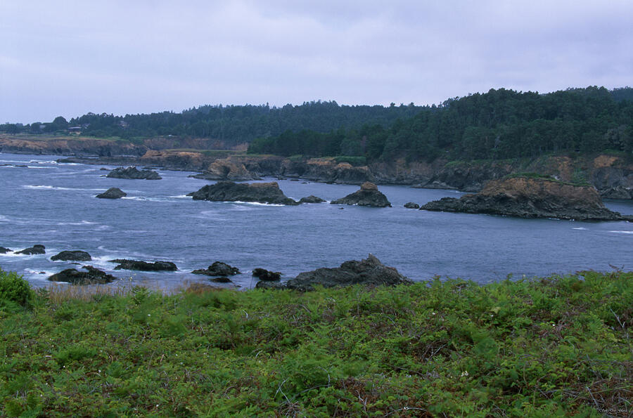 Mendocino Headlands Photograph By Soli Deo Gloria Wilderness And 