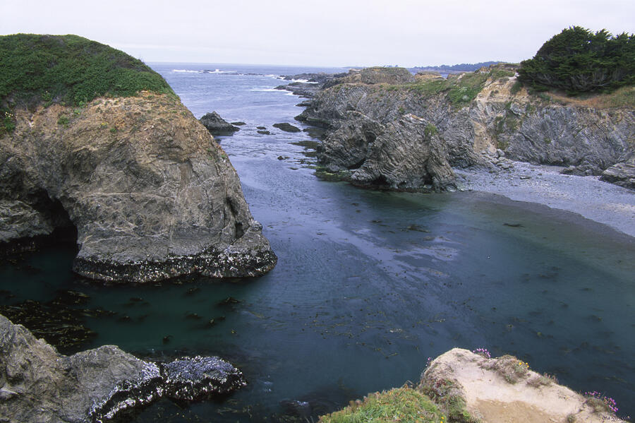 Beach Photograph - Mendocino Headlands State Park by Soli Deo Gloria Wilderness And Wildlife Photography