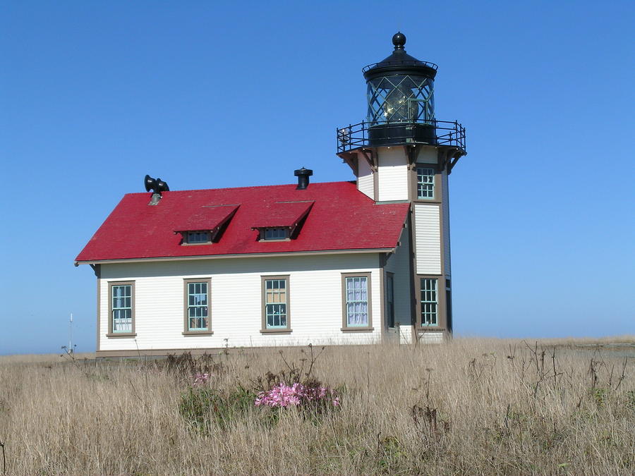 Lighthouse Photograph - Mendocino Lighthouse by Sandy Taylor