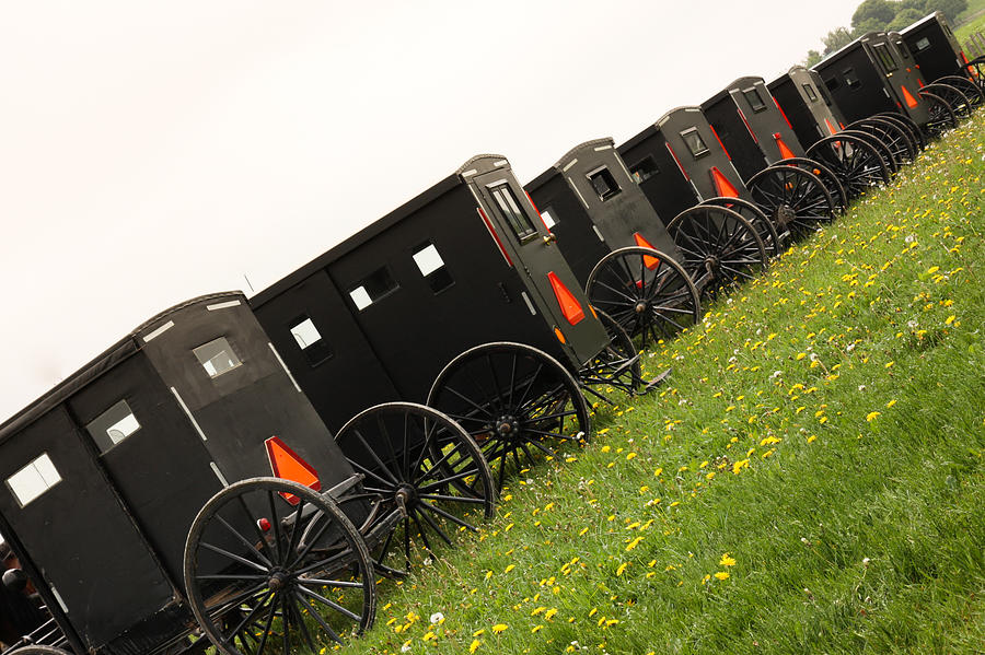 Mennonites buggies Photograph by Nick Mares