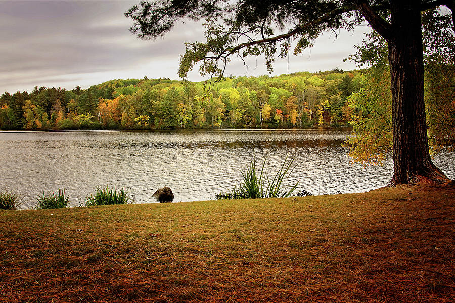 Menominee River in Autumn Photograph by Gwen Gibson