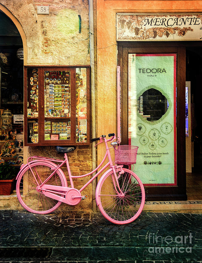 Mercante Tedora Bicycle Photograph by Craig J Satterlee