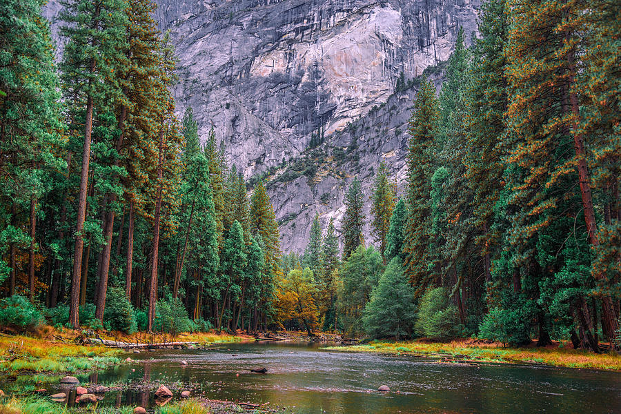 Merced @ Yosemite Wide Photograph by Steven Maxx