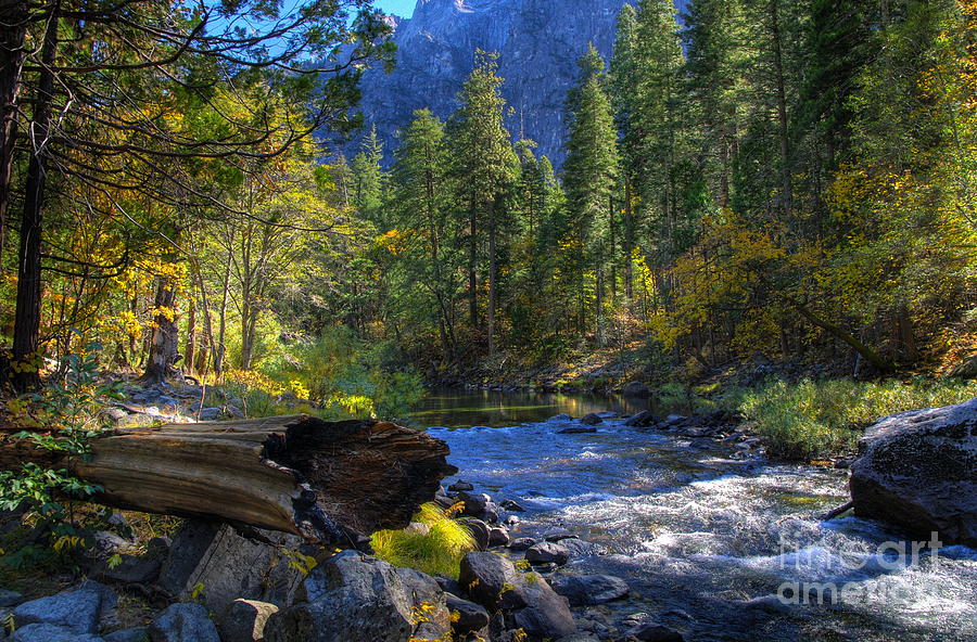 Merced River Photograph by Alex Morales