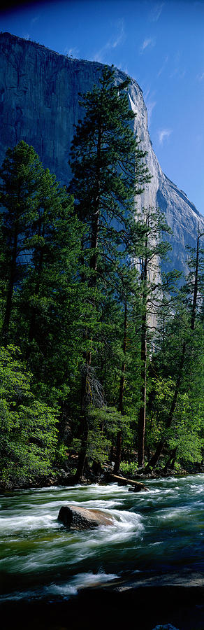 Merced River And El Capitan Yosemite Photograph by Panoramic Images