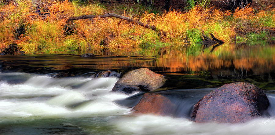 Merced River Autumn Photograph by Floyd Hopper
