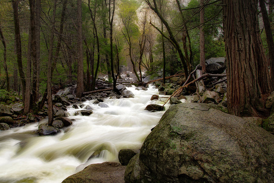 Merced River Photograph by C  Renee Martin